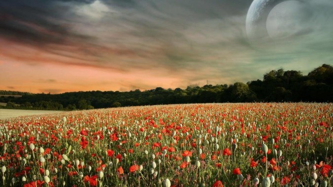 婆婆总说“你妈也不教你”,怎么回复?